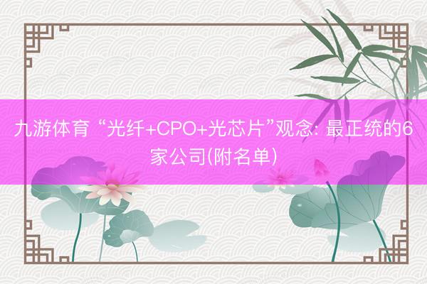 九游体育 “光纤+CPO+光芯片”观念: 最正统的6家公司(附名单)