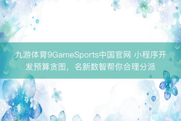 九游体育9GameSports中国官网 小程序开发预算贪图，名新数智帮你合理分派