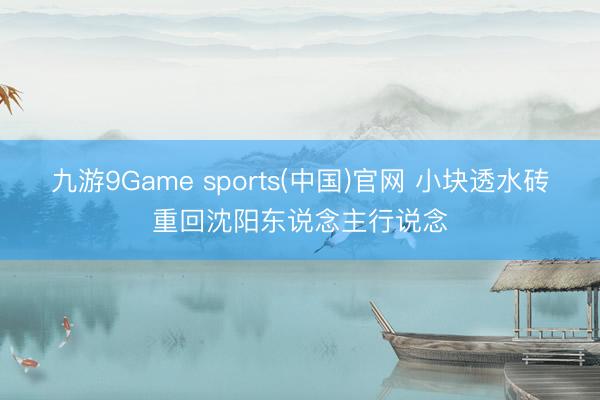 九游9Game sports(中国)官网 小块透水砖重回沈阳东说念主行说念