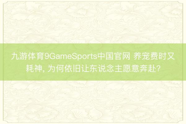 九游体育9GameSports中国官网 养宠费时又耗神， 为何依旧让东说念主愿意奔赴?