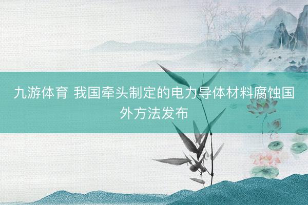 九游体育 我国牵头制定的电力导体材料腐蚀国外方法发布