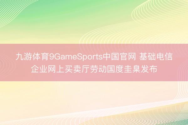 九游体育9GameSports中国官网 基础电信企业网上买卖厅劳动国度圭臬发布