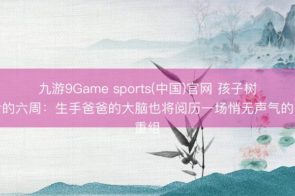 九游9Game sports(中国)官网 孩子树立后的六周：生手爸爸的大脑也将阅历一场悄无声气的重组